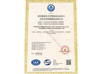 ISO45001職業健康安全管理體系認證證書 中文